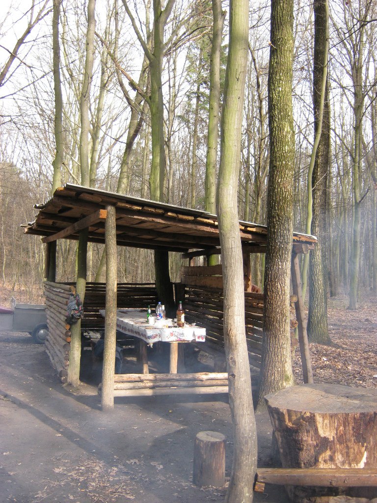 Роман Гаврилюк | Оженин