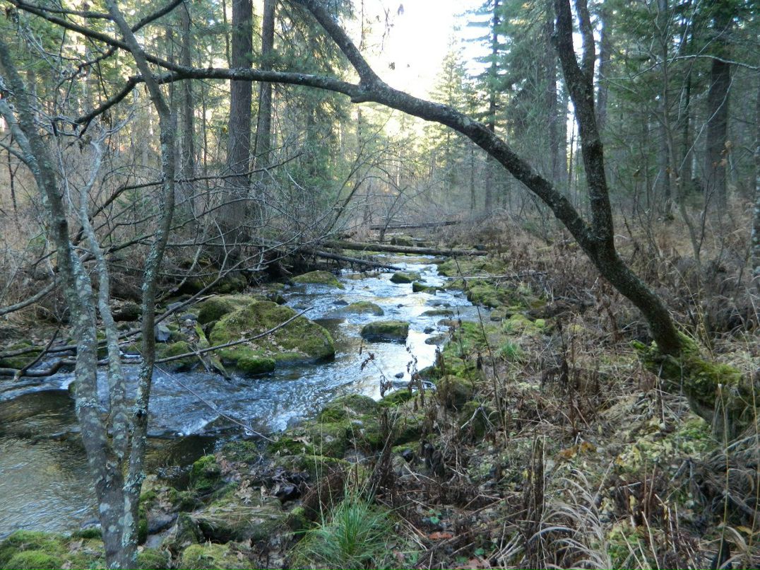 Роман Филягин | Железногорск