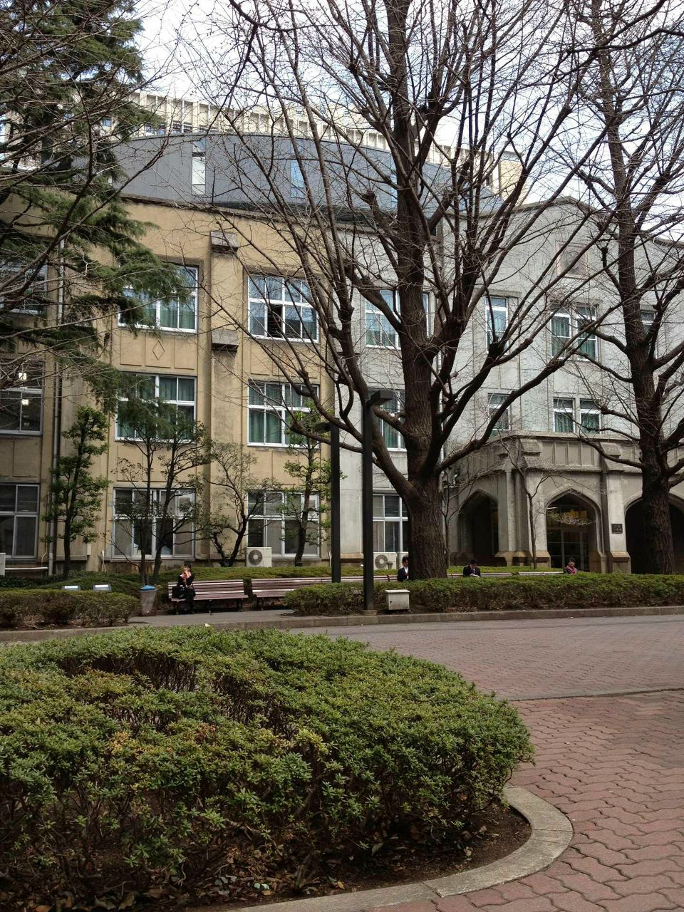 Diana Palyuga 黒い氷 | Tokyo