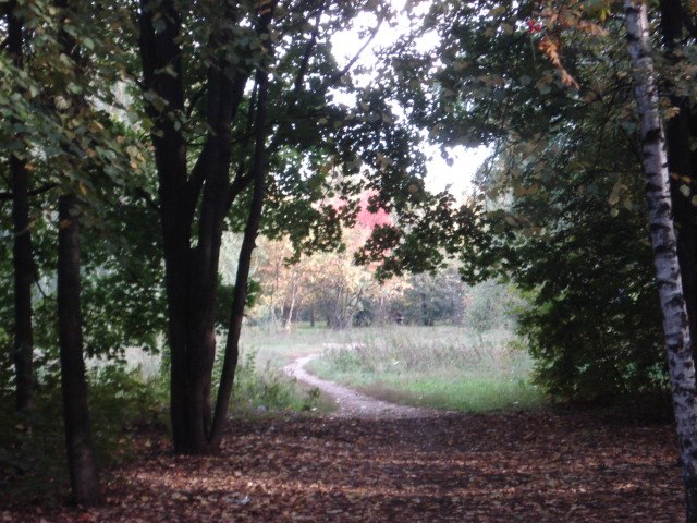 Вячеслав Фланден Сергеевич | Москва