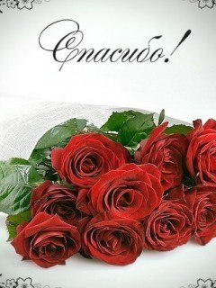 Катеринка Мезенкова | Уфа