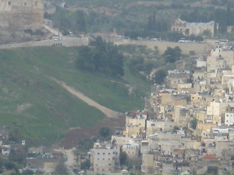 Татьяна Шанина | Санкт-Петербург