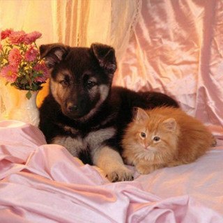 Сирина Салахова | Новошешминск