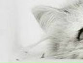 Екатерина Ершова | Поворино