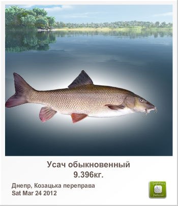 Валерий Куделя | Кривой Рог