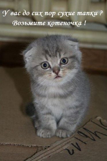 Marina Ivanova | Санкт-Петербург