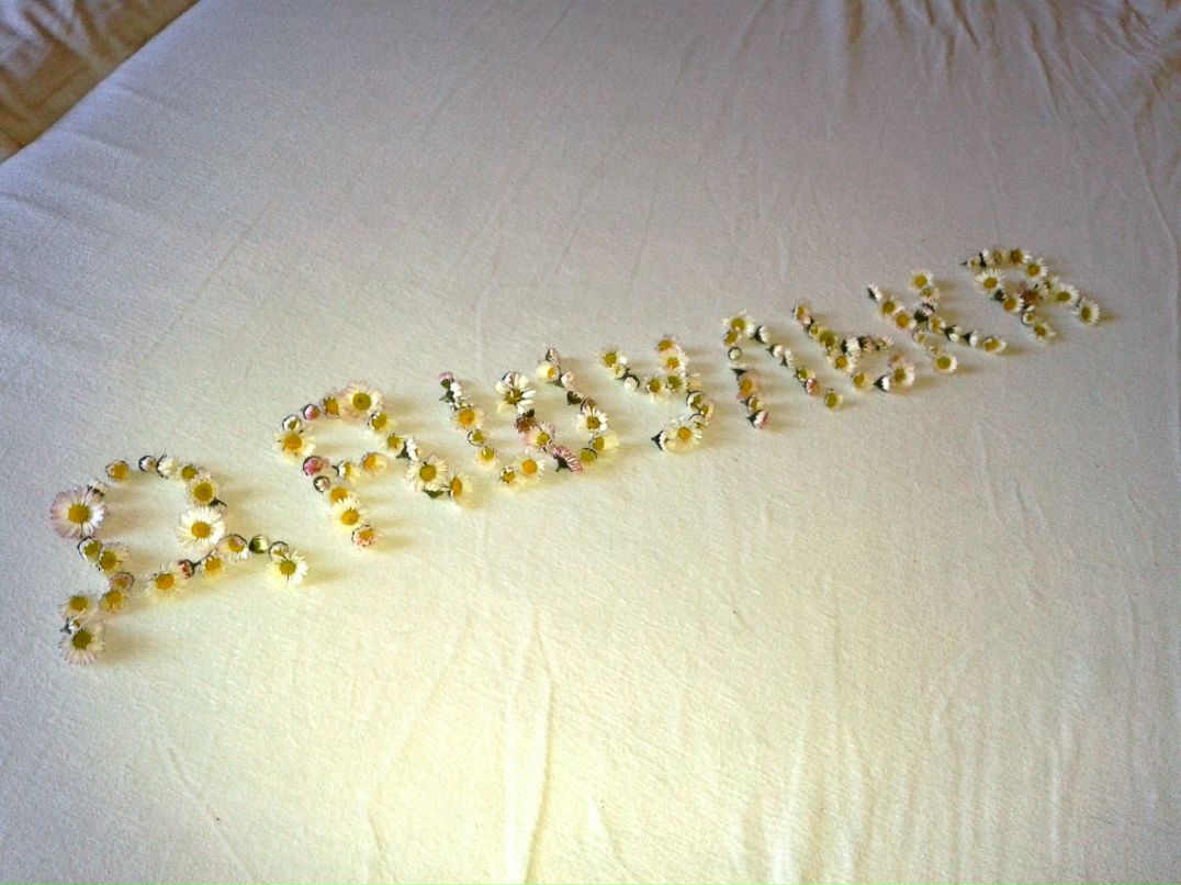 Миха Michal | Praha