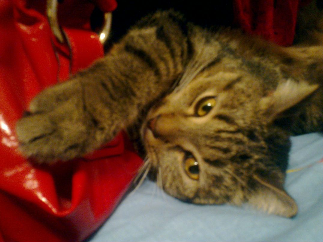 Лелька Яковлева | Москва