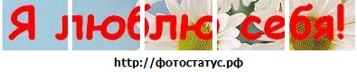 №6, Анжелика Богданова №6, Анжелика Богданова