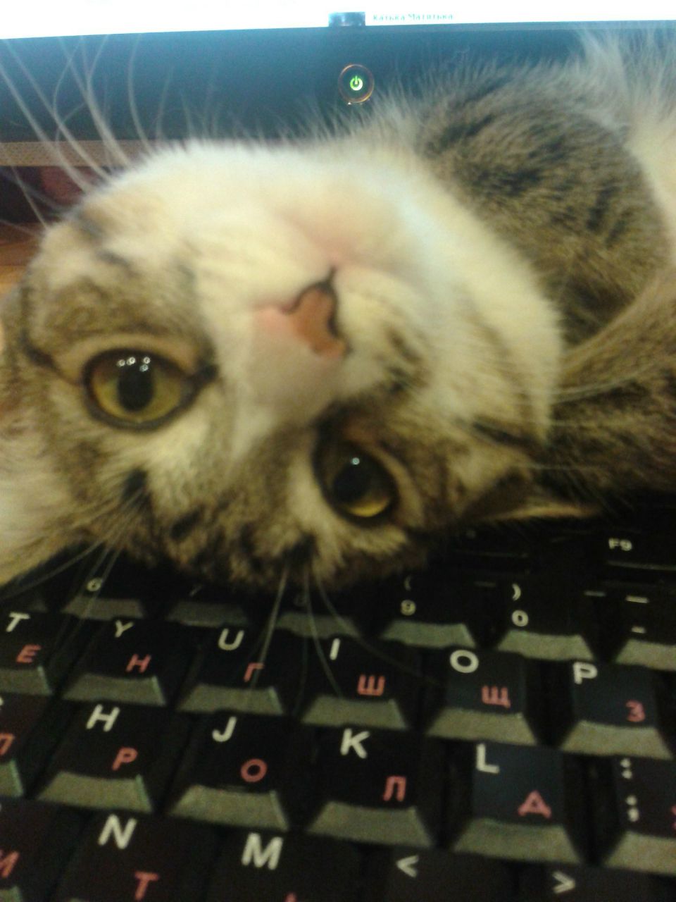 Екатерина Беляева | Тольятти