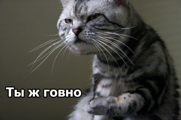 Денис Прожеев | Брянск