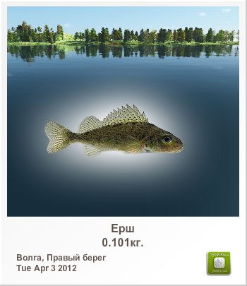 Ярослав Хамдиев | Сургут