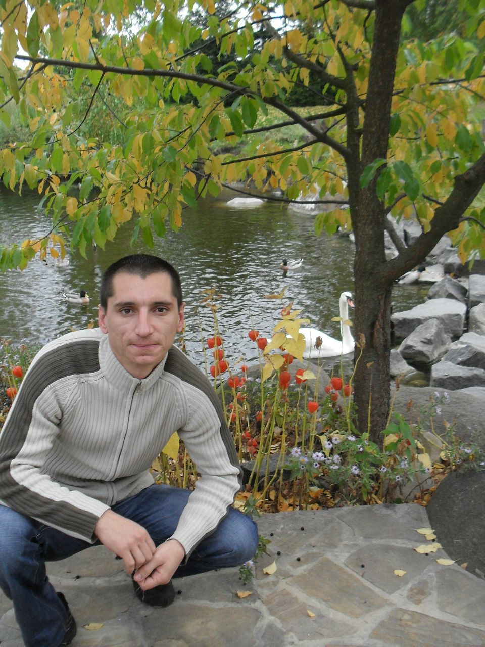 Сергей Коренюк | Александрия