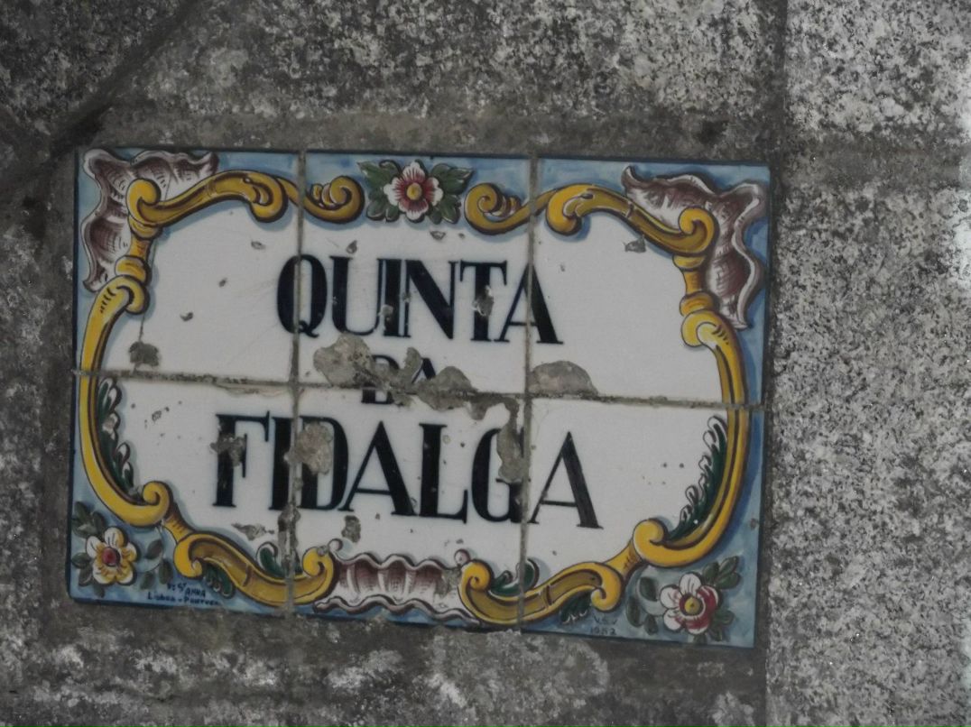 Катя Родионова | Воронеж