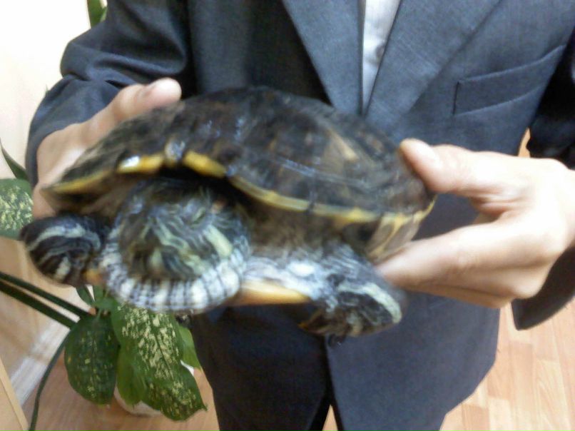 Олег Зарецкий | Москва