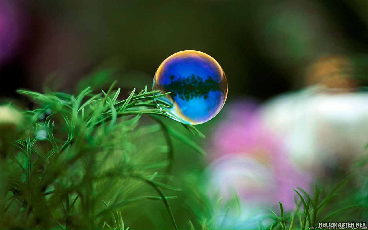 Андрей Волошенюк | Одесса