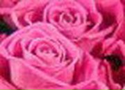 Юлия Бобырева | Санкт-Петербург