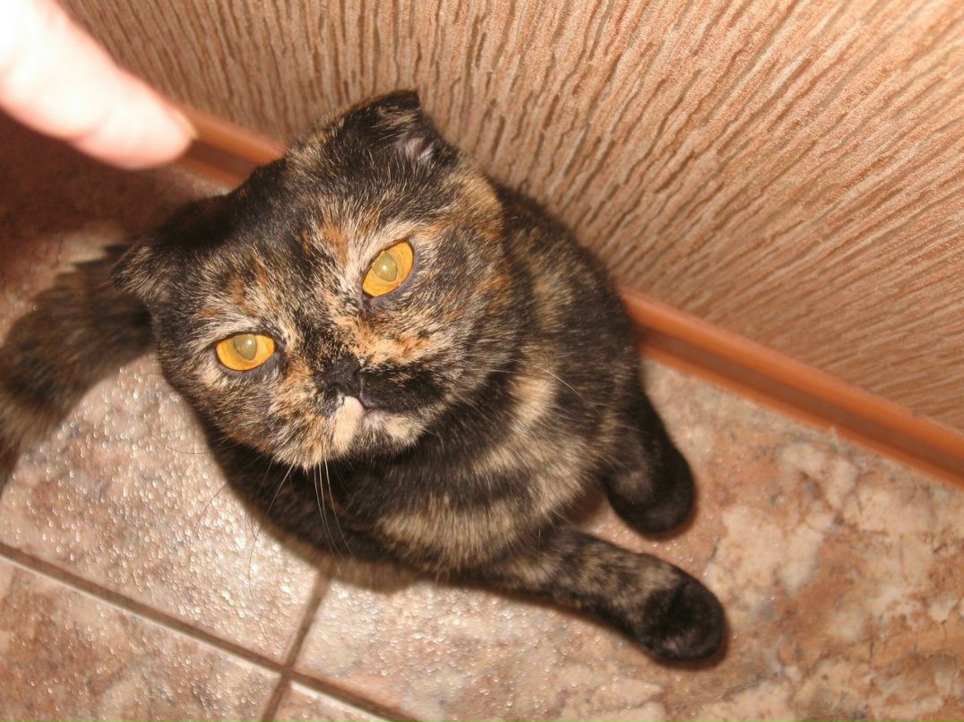 Марина Бахова | Санкт-Петербург