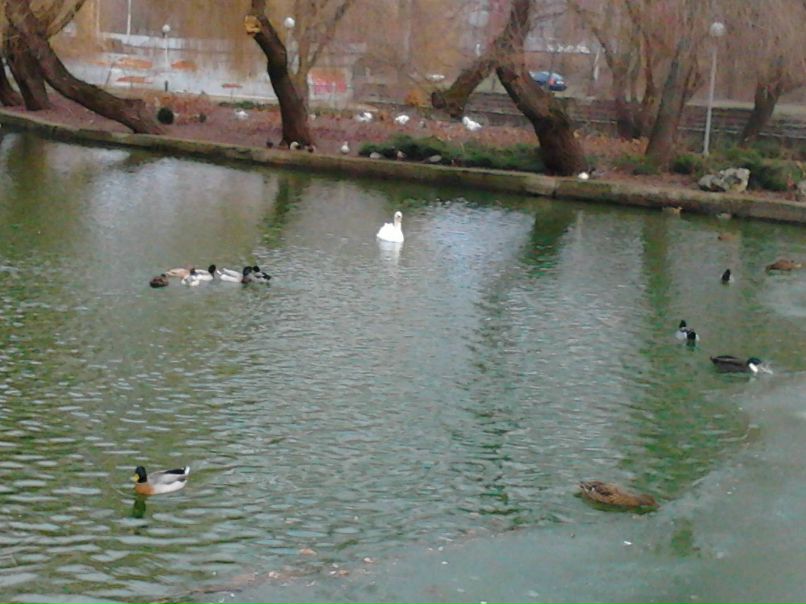 Аня Рыхлецкая | Краснодар