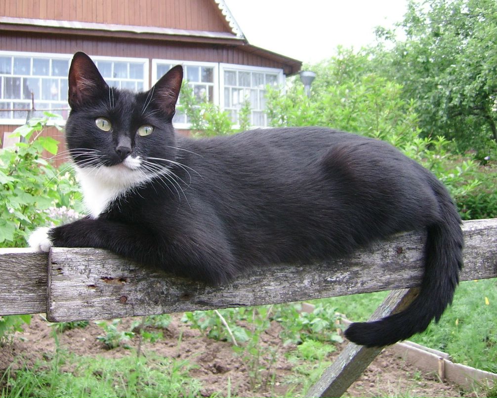 Ольга Рябикина | Москва