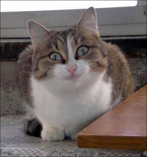 Евгений Савченко <;bdjq> | Омск