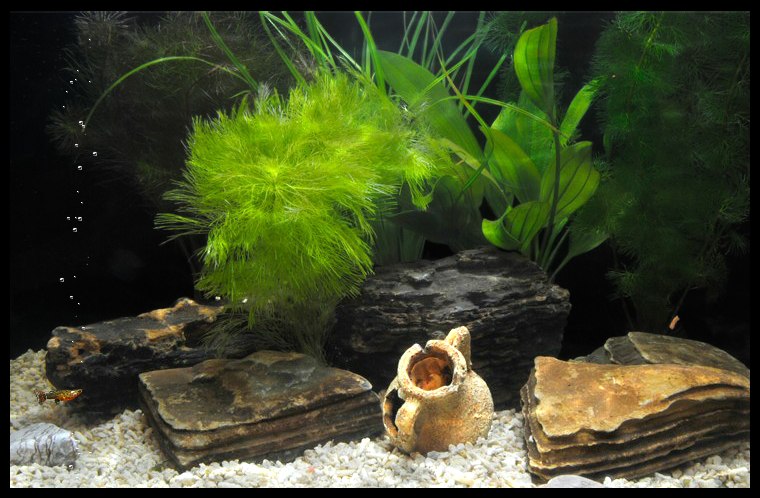 Илья Богданов | Никольское