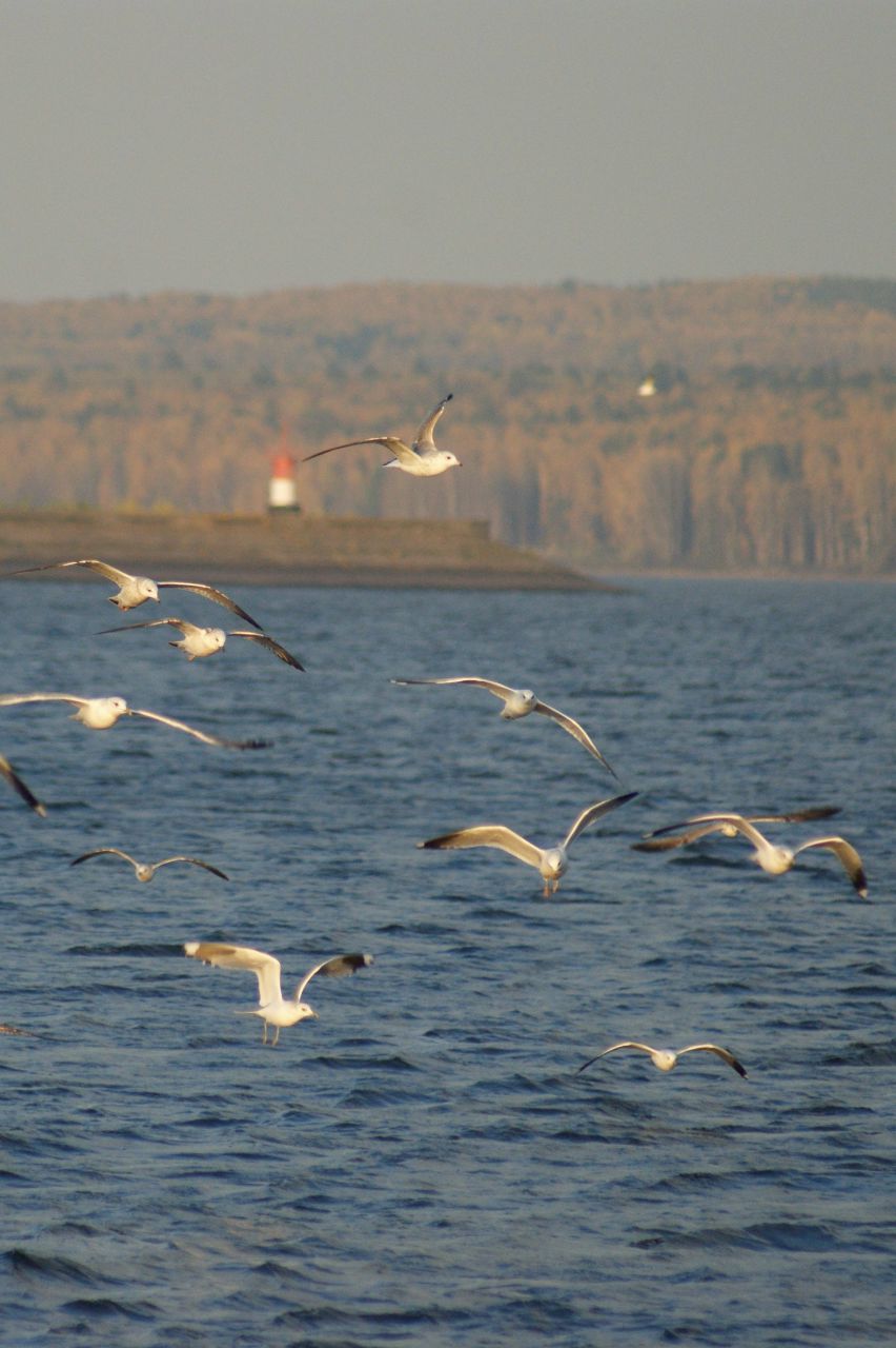Диана Байдина | Пермь