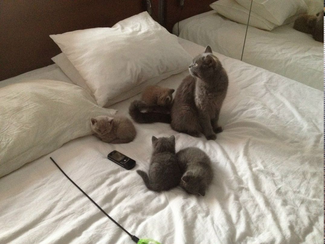 Irina Ivaylovskaya | Санкт-Петербург