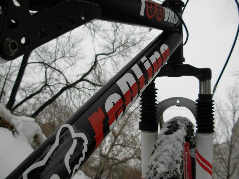 Андрей Шморгунов | Санкт-Петербург