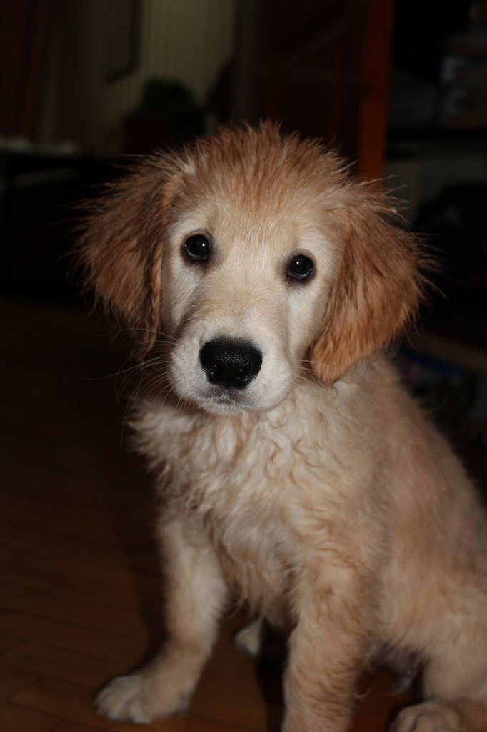 Александра Гладкобородова | Москва