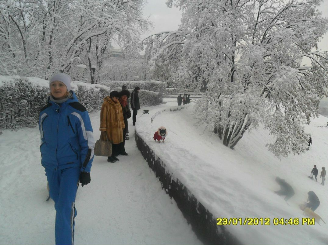 Алла Изотенко | 