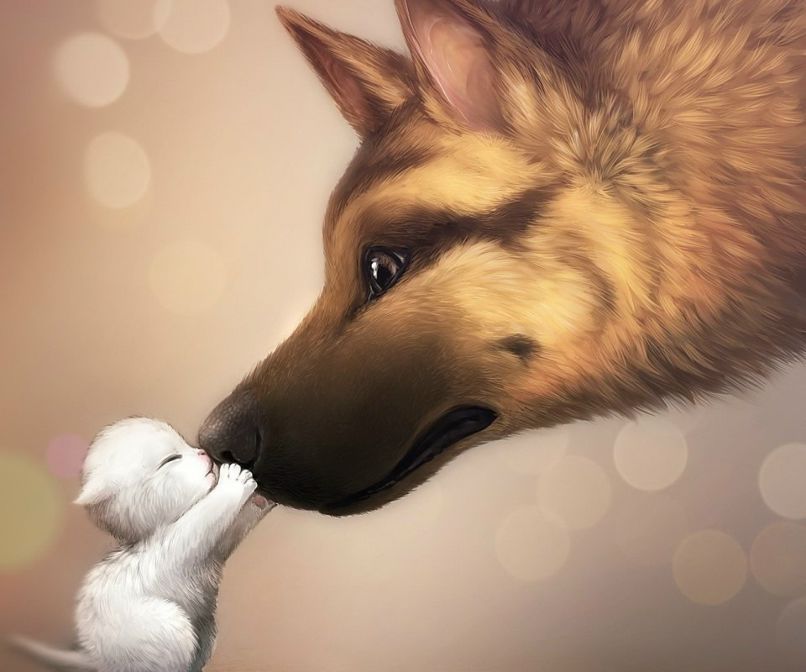 Ян Домбровский | Волгоград