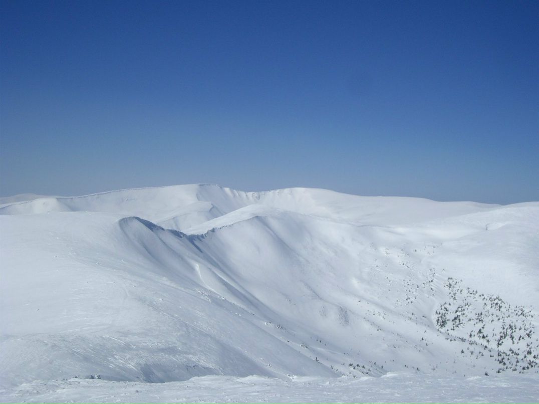 Алексей Палюта | Киев