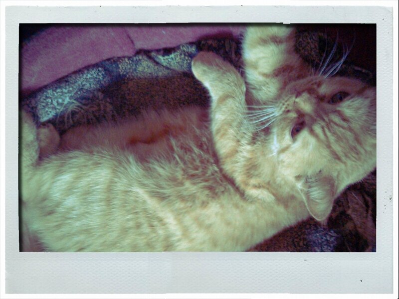 Настя Ненастина Blupy | Москва