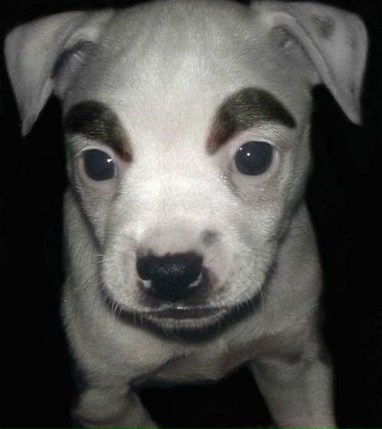 №155, Валентин Егоров, 41 год, Москва №155, Валентин Егоров, 41 год, Москва