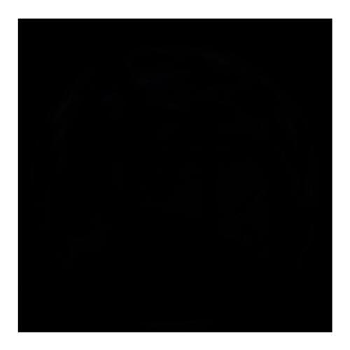 Татьяна Жмудина Кленовый Листик | Омск