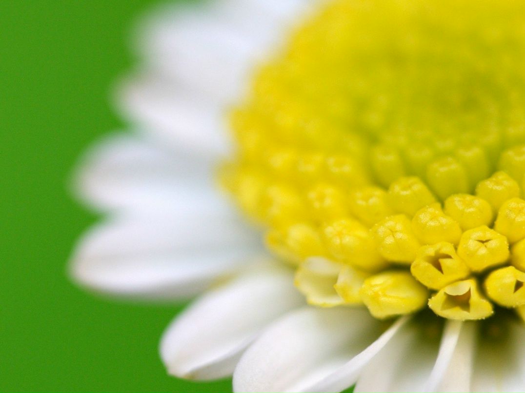 Эля Ихсанова | Воткинск