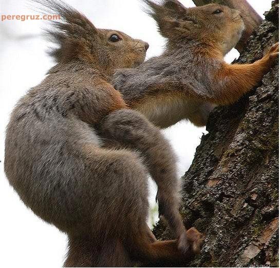 Анатолий Тинтин Алексеевич | Самара