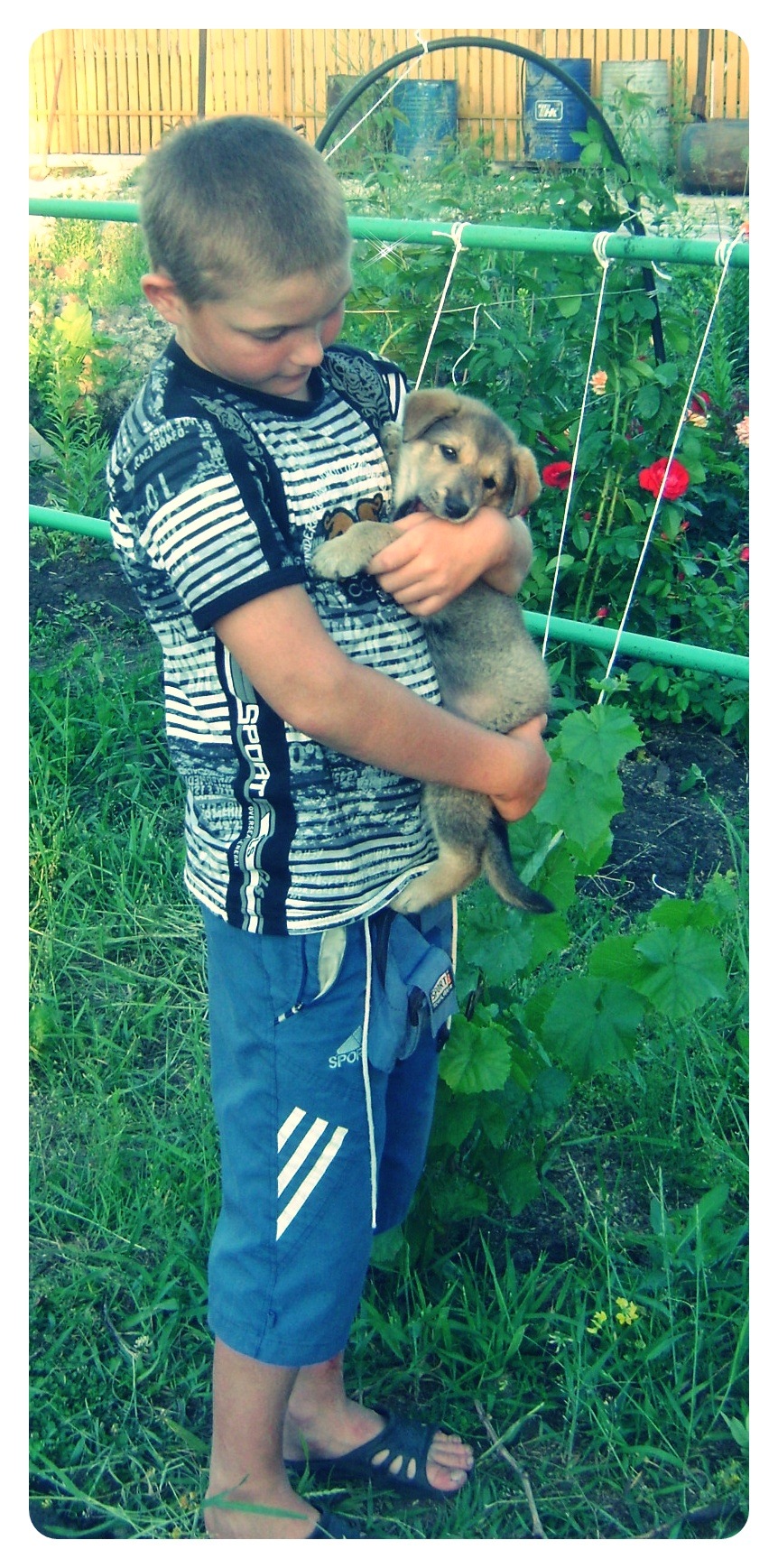 Фото профиля