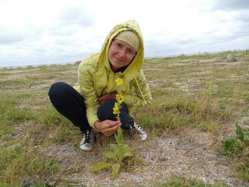 Инна Златкус | Несвиж