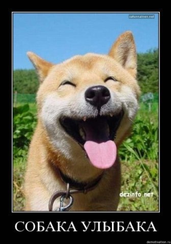 №97, Инокентий Попугаев, 39 лет, Санкт-Петербург №97, Инокентий Попугаев, 39 лет, Санкт-Петербург