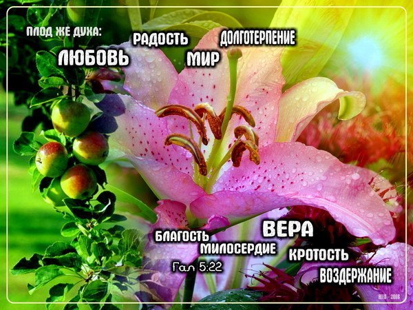 Елена Мокрякова | Мурманск