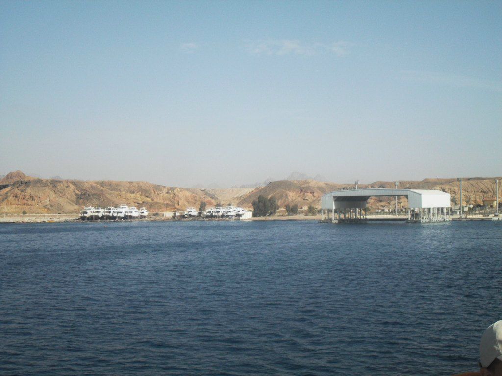 Федор Долженков ★★★★★★★★★★★★★★★★★★ | Лесной