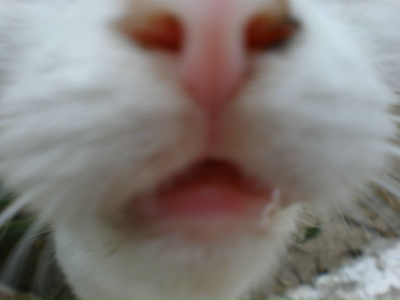 Валера Биленко | Донецк