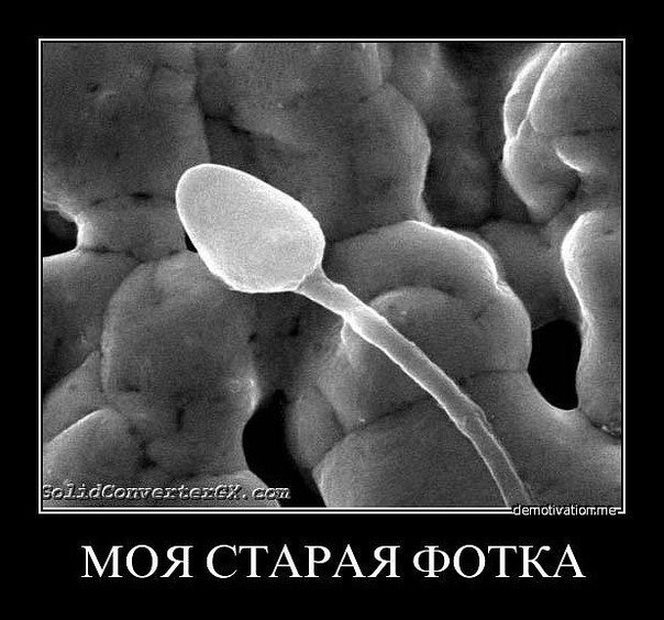 Сергей Иванов | Боровичи