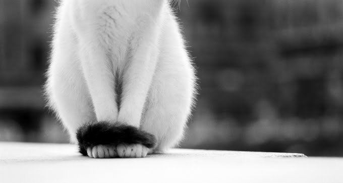 Garyk Smoke No | Киев