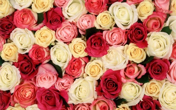 Натали Гика | Киев