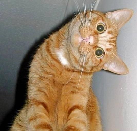 Наталья Скрыльник | Горишние Плавни / Комсомольск