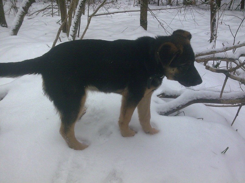 Паша Никулочкин Face-control | Калуга