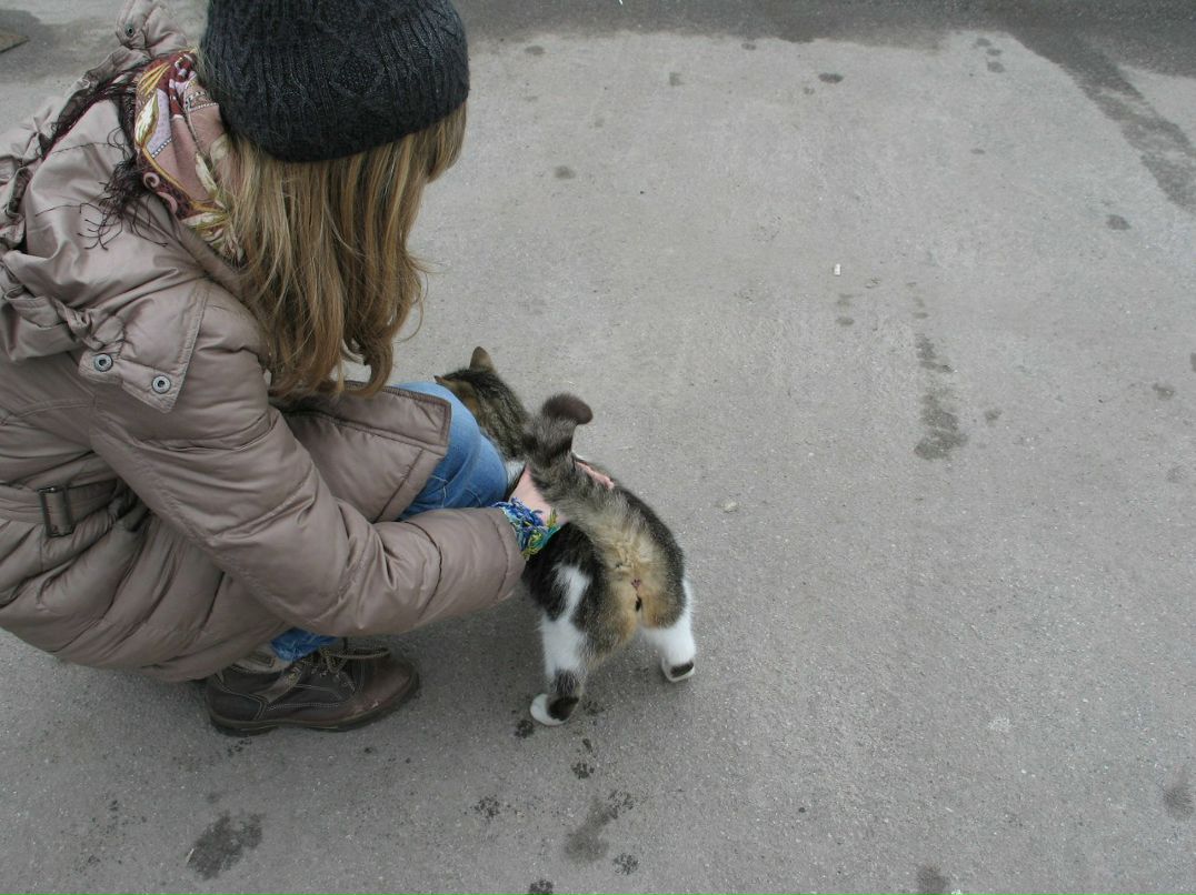 Катя Шапиро | Москва